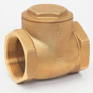 Van 1 chiều lá lật phi 21